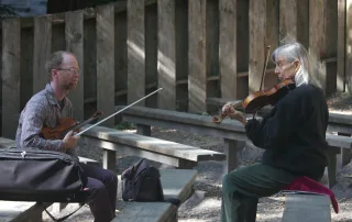 Fiddling in the Shade