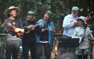 Ukelele Jam Session